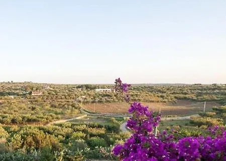فندق Leralora