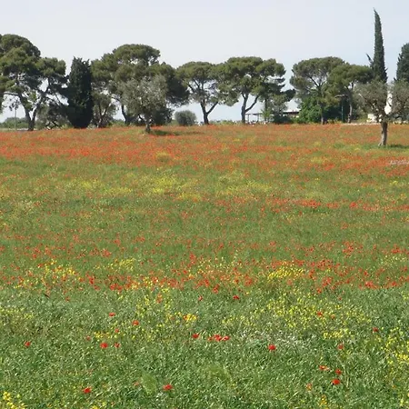 Leralora 4* Conversano